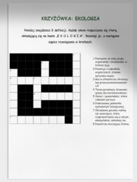 Zagadki i krzyżówki na temat ekosystemów, ochrony przyrody, recyklingu.