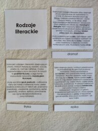 Rodzaje literackie - cechy - karty