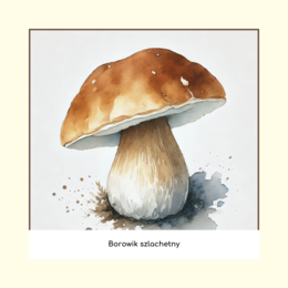 Ekologiczne memory (gra edukacyjna)