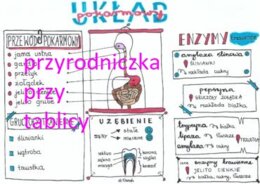 Klasa 7. Biologia. Układ pokarmowy
