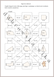 Figurowy labirynt - pola figur