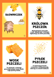 PSZCZOŁY🐝
