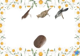 DZIEŃ PTAKÓW - EDUKACYJNA PRZYGODA DLA DZIECI