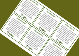 PRZYPOWIEŚĆ - epika – cechy – wklejka