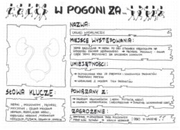 W pogoni za układem wydalniczym