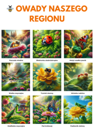 Plansze edukacyjne. Lokalne gatunki roślin i zwierząt, grzybów oraz owadów.