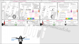 Mini zestaw do tematu „Elektrolity i nielektrolity”– sketchnotka + karta pracy + gratisowy link do prezentacji multimedialnej niekomercyjnej wykonanej w genial.ly do indywidualnego pobrania i użycia do celów niekomercyjnych. Chemia SP (klasa 7 i 8), dzia