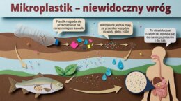 Dzień Ziemi – gazetka szkolna / prezentacja