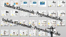 Zestaw sketchnotek i kart pracy + gratisowe linki do prezentacji multimedialnych niekomercyjnych wykonanych w genial.ly do indywidualnego pobrania i użycia do celów niekomercyjnych. Geografia 5, „Krajobrazy świata”