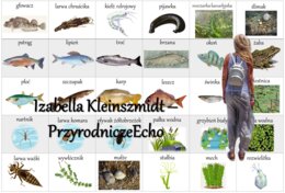 Notatki okienkowe/stacje zadaniowe/notatki/notatki graficzne/karty pracy/sketchnotki/materiał do zalaminowania do działu „Odkrywamy tajemnice życia w wodzie i na lądzie” w pdf. Przyroda 4.