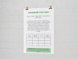 Plakaty edukacyjne. Cykl życia fasoli (etap 1: nasiono, etap 2: kiełek, etap 3: młoda roślina, etap 4: dorosła roślina). Jak segregować śmieci? Kolorowe kosze i co do nich wrzucamy? Najczęstsze błędy i odpady nietypowe.