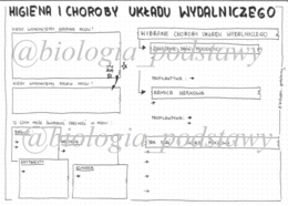 klasa 7 - Higiena i choroby układu wydalniczego - prezentacja