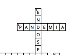 Krzyżówka- wirusy i bakterie