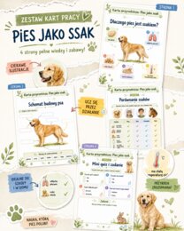 Pies jako ssak