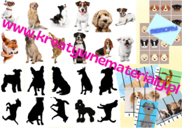 Dzień Kundelka / Dzień Psa