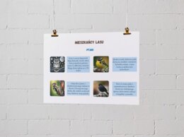 Plansze edukacyjne. Mieszkańcy lasu (ssaki, ptaki, inne zwierzęta, ciekawostki)