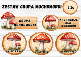 ZESTAW GRUPOWY GRUPA MUCHOMORKI