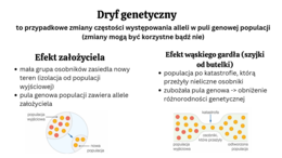 ewolucja organizmów KLASA 4 ROZSZERZENIE BIOLOGIA