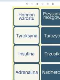 Memory: Gruczoły i hormony