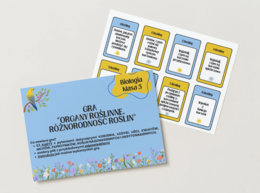 Biologia. Klasa 5. Gra edukacyjna. Organy roślinne. Różnorodność roślin. Korzeń. Łodyga. Liść. Nagonasienne. Okrytonasienne. Karta odpowiedzi. Rysunki.