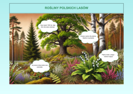 Plansze edukacyjne „Ekologia w szkole”