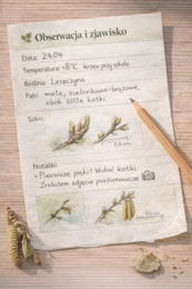 Mini-podręcznik „Fenologia dla początkujących”