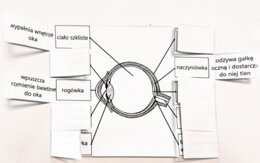 Oko - okienkowa notatka