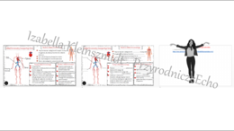 Minizestaw na temat „Układ krwionośny transportuje krew” – sketchnotka + karta pracy w power point + gratisowy link do prezentacji multimedialnej niekomercyjnej wykonanej w genial.ly do indywidualnego pobrania i użycia do celów niekomercyjnych. Przyroda 