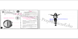 Karta pracy „. Jak działa kompas?” + gratisowy link do lekcji multimedialnej (pomysłu na lekcję) niekomercyjnej wykonanej w genial.ly do indywidualnego pobrania i użycia do celów niekomercyjnych. Przyroda 4, dział I „Poznajemy warsztat przyrodnika”