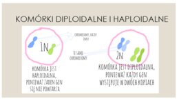 Podziały komórkowe