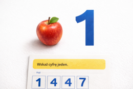 Liczba 1. ZADANIA + CIEKAWOSTKI