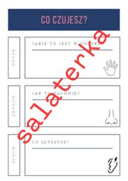 WYCHODZIMY Z ŁAWEK Pomysł na realizację lekcji języka polskiego w warunkach plenerowych