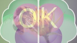 Dzień Pszczół: Wielka Edukacyjna Wyprawa do Ula (52 slajdy)