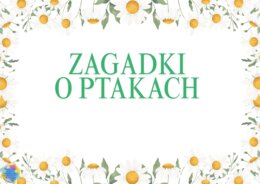 DZIEŃ PTAKÓW - EDUKACYJNA PRZYGODA DLA DZIECI