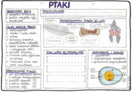 Ptaki - kolor - klasa 6