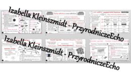 Zestaw sketchnotek – notatek do całego działu „Królestwo zwierząt” wykonanych w power point do edycji. Biologia 6