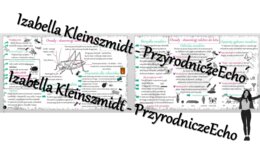 Sketchnotka - notatka „Owady - stawonogi zdolne do lotu” wykonana w power point do edycji. Biologia 6; „Stawonogi i mięczaki”