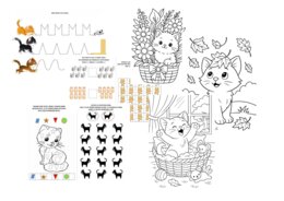 DZIEŃ KOTA – MEGA PAKIET EDUKACYJNY