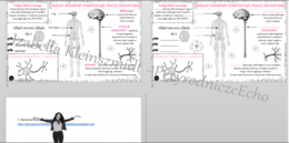 Minizestaw na temat „Układ nerwowy kontroluje pracę organizmu” – sketchnotka + karta pracy w power point + gratisowy link do prezentacji multimedialnej niekomercyjnej wykonanej w genial.ly do indywidualnego pobrania i użycia do celów niekomercyjnych. Prz