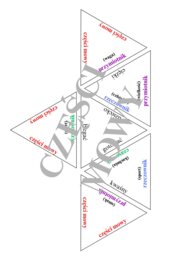 Trimino - części mowy