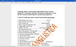 Uzupełnianie zdań - j.niemiecki - egzamin ósmoklasisty + KLUCZ