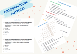 Ortograficzne potyczki - powtórka zasad przed egzaminem ósmoklasisty (i nie tylko)