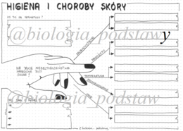 Klasa 7 - Higiena i choroby skóry - sketchnotka KP