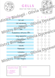 Komórki - porównanie ENG angielskie słownictwo