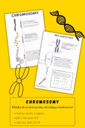 Chromosomy - sketchnotka - wklejka | Biologia | klasa 8