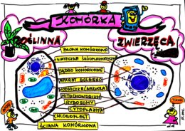 Klasa 5. Biologia. Komórka roślinna i zwierzęca (karta pracy kolorowa)