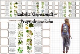 Notatki okienkowe/stacje zadaniowe/notatki/notatki graficzne/karty pracy/sketchnotki „Przegląd i znaczenie roślin okrytonasiennych” „Rozpoznawanie roślin okrytonasiennych” w pdf. Biologia 5 dział „Różnorodność roślin”.