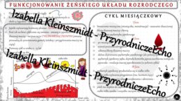 Sketchnotka - notatka „Funkcjonowanie żeńskiego układu rozrodczego” wykonana w power point do edycji. Biologia 7; „Rozmnażanie i rozwój człowieka”