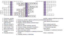 Logogryf na podsumowanie lekcji Budowa i rola układu oddechowego