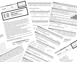 Arkusz próbny E8 nr 4